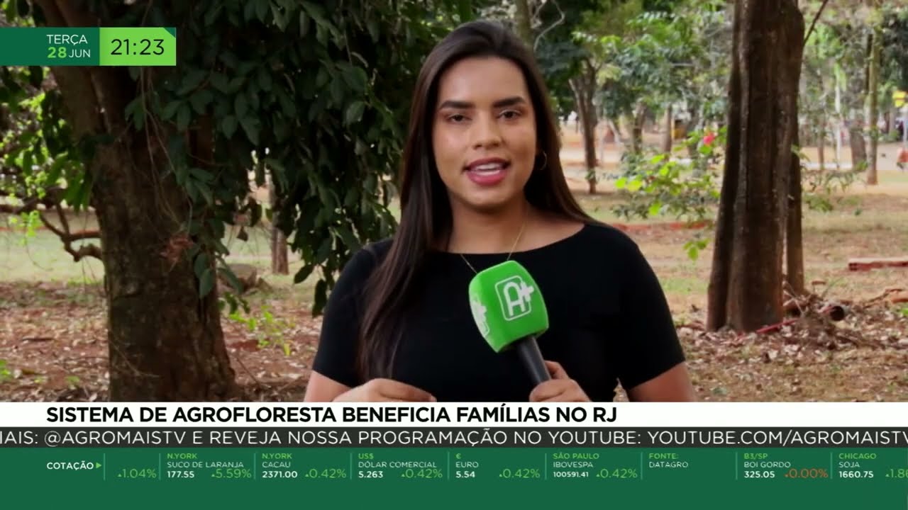 Sistema de agrofloresta beneficia famílias no RJ
