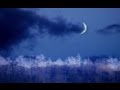 三日月の夜.wmv