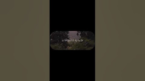 أذكروا الله الكهف الاية-46-_القارئ:#علي_جابر