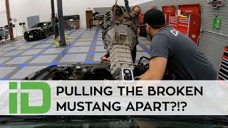 Pulling Mustangs Engine and Trans!