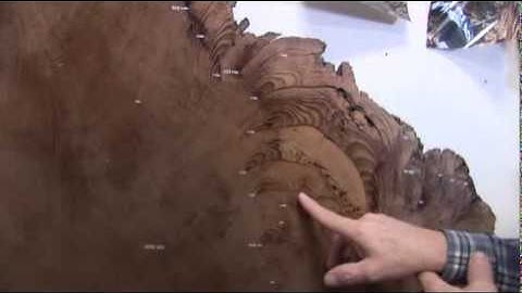 Lord of the Tree Rings