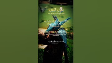 سورة البقرة#viral #الجزائر #السعودية #المغرب #allah #fypシ #ايات #explore #quran #رمضان #مصر #العراق