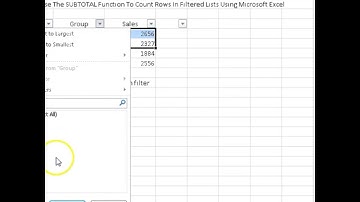 00125 - How To Use The SUBTOTAL Function To Count Rows In Filtered Lists Using Microsoft Excel