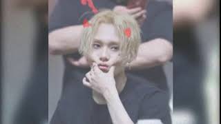 softbot kino edawn