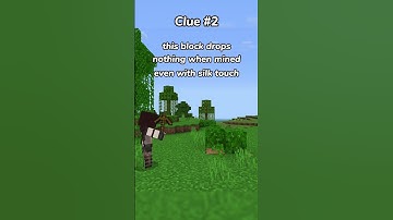 Can You Guess This Minecraft Block? Part 2