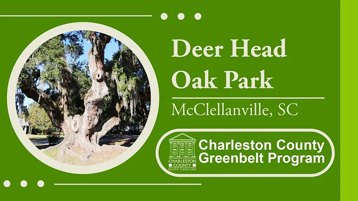 Deer Head Oak Park - McClellanville, SC
