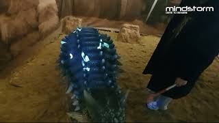 바닥형 인터랙티브, 모형 적용 인터랙티브 시스템, 용인 다이노 베이 - mindstormkorea