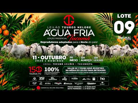 LOTE 09