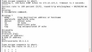 CCNA And CCNP Video Practice Exam #17:  Pings And Things