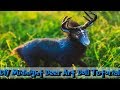 DIY Fantasy Midnight Deer Art Doll Tutorial