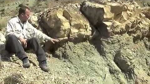 absolute vs relative ages