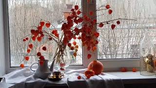 картинка: Солнце ноября. Натюрморт на окне. Физалис и тыква