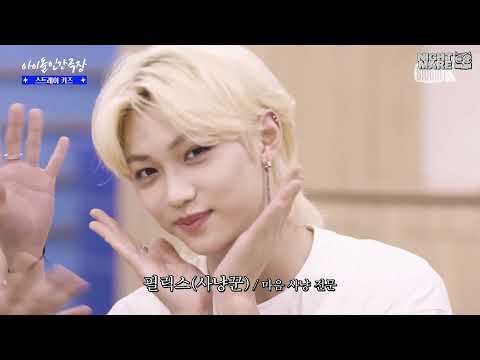 Maxident от эппл stray kids. театр айдолов. идолы театра. что такое искусство? театр. идолы пещеры по бэкону.