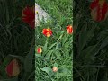 стройка века,после работы на работу