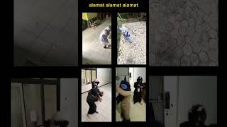 Download Lagu trend sholawat alamat alamat alamat#viral#viraltiktok MP3