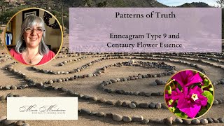 Enneagram Type 9 and Centaury Flower Essence