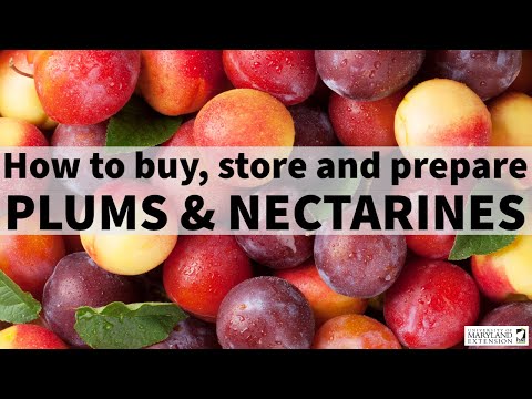 Video: Hoe Nectarines Te Bewaren?