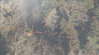 【速報】群馬・上野村で山林火災 現在も延焼 県は自衛隊に災害派遣を要請(2026年3月21日)