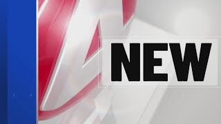 Man charged after police incident in Batavia