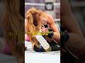 Becky Lynch Might Be In Her Final WWE Run