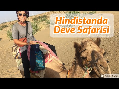Video: Jaisalmer ve Bikaner'de Deve Safarileri: Bilmeniz Gerekenler