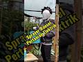 Sprayer Penyemprot Pertanian Ransel Elektrik