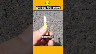 담배꽁초 확대 400배 #현미경 #2024 #micro…