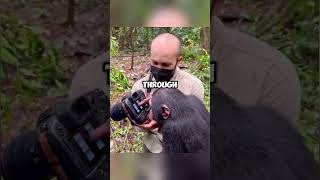 Monkey Scrolling Through Camera Photos.