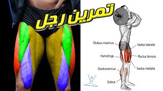 تمرين رجل | Leg Workout