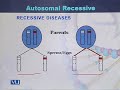 BIO502 Genomics Lecture No 61