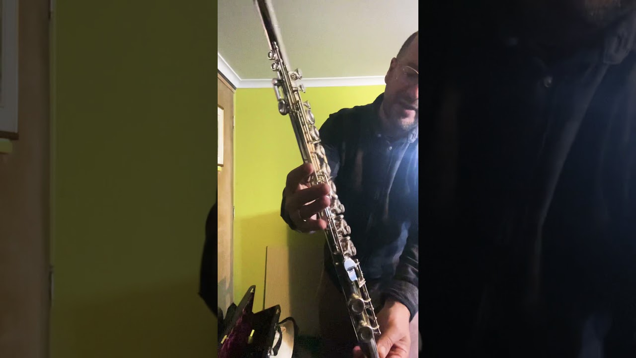 Gebrüder Mönnig Alto Flute for sale