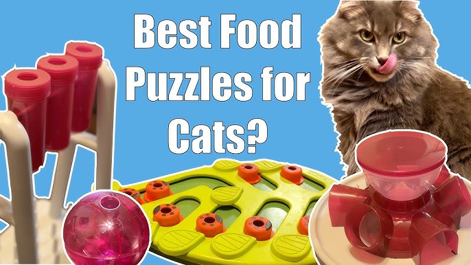 Cat Puzzle Feeder Toy Slow Food Dispenser com bolas engraçadas Gatos tratam  jogos interativos nível 1-2 Caixa de tesouro de estimulação mental -  AliExpress