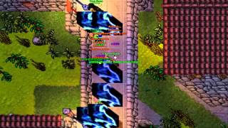 Pitoia Tibia Parte1