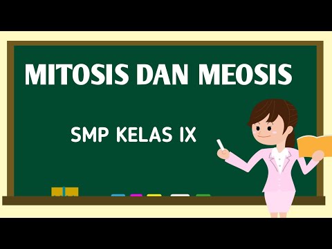 Pembelahan Sel Mitosis Dan Meosis Kelas 9 | Materi Biologi Pembelahan Sel