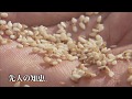 サントリー セサミンEX