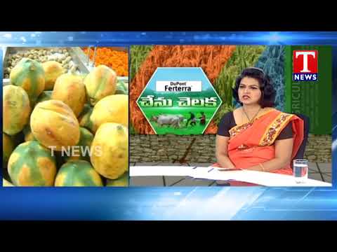 Sudhakar Reddy About Agriculture | Chenu Chelaka | T News live Telugu