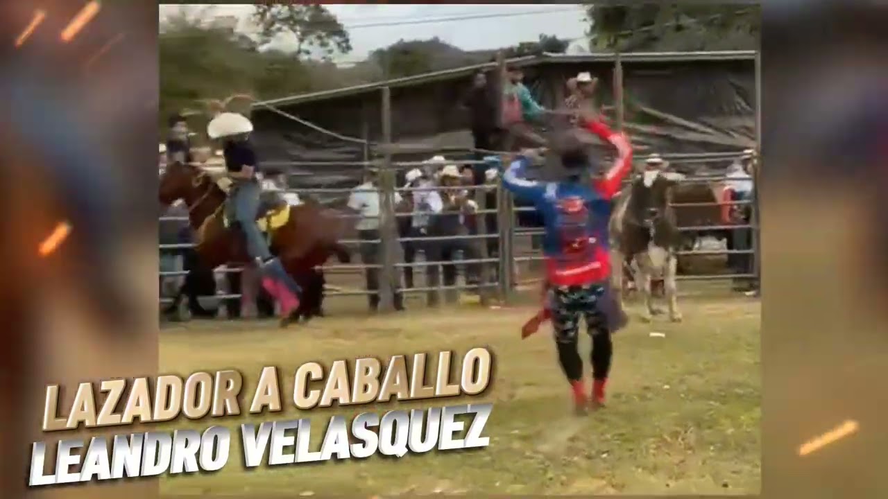 Monta de toros Oropoli El Paraíso Honduras, marzo 2026, marzo 2026 | Cybersound Estudio 🎙🎬