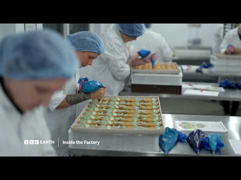 Inside the Factory S10 | BBC Player