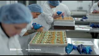 Inside the Factory S10 | BBC Player