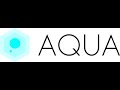 Aqua  lartisan des outils devops un seul manager pour les dompter tous