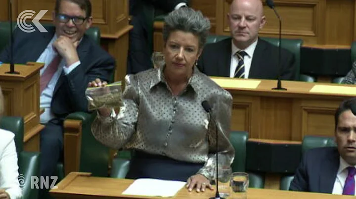 Paula Bennett brandishes 14g of cannabis lookalike...