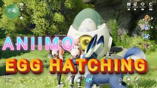 Aniimo - Closed Beta - EGG Hatching #aniimo
