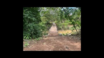 Hai mẹ con đi bán quả vải ở Bắc Giang bị lũ cuốn trôi…