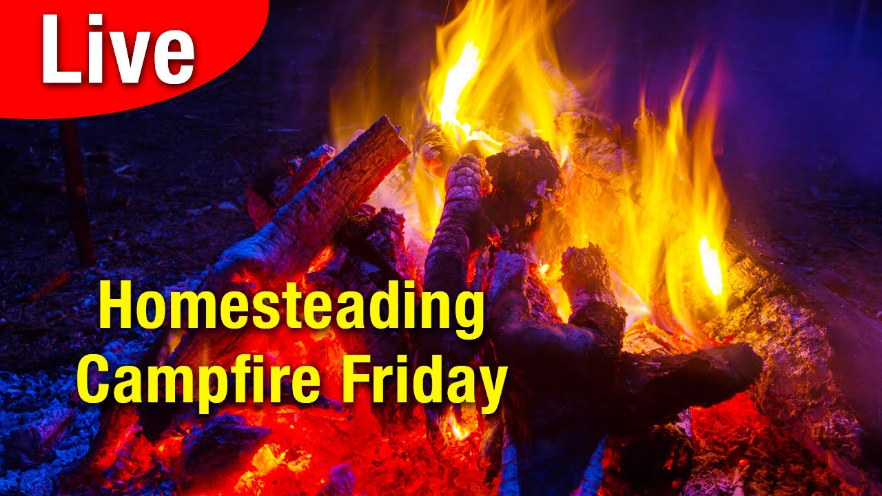 Live Fire Chat for Homesteaders