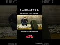 カッパ巻きは女性です。/レッツゴー怪奇組第五怪より