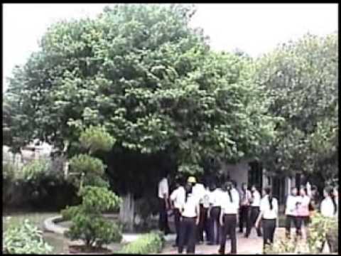 Trại Hè 26-03 THCS HHT TB Ngọc Yến 6 - YouTube