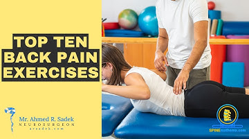 Top 10 Science-Backed Exercises For Low Back Pain|Mr. Ahmed-Ramadan Sadek| Neurosurgeon| #BackPain