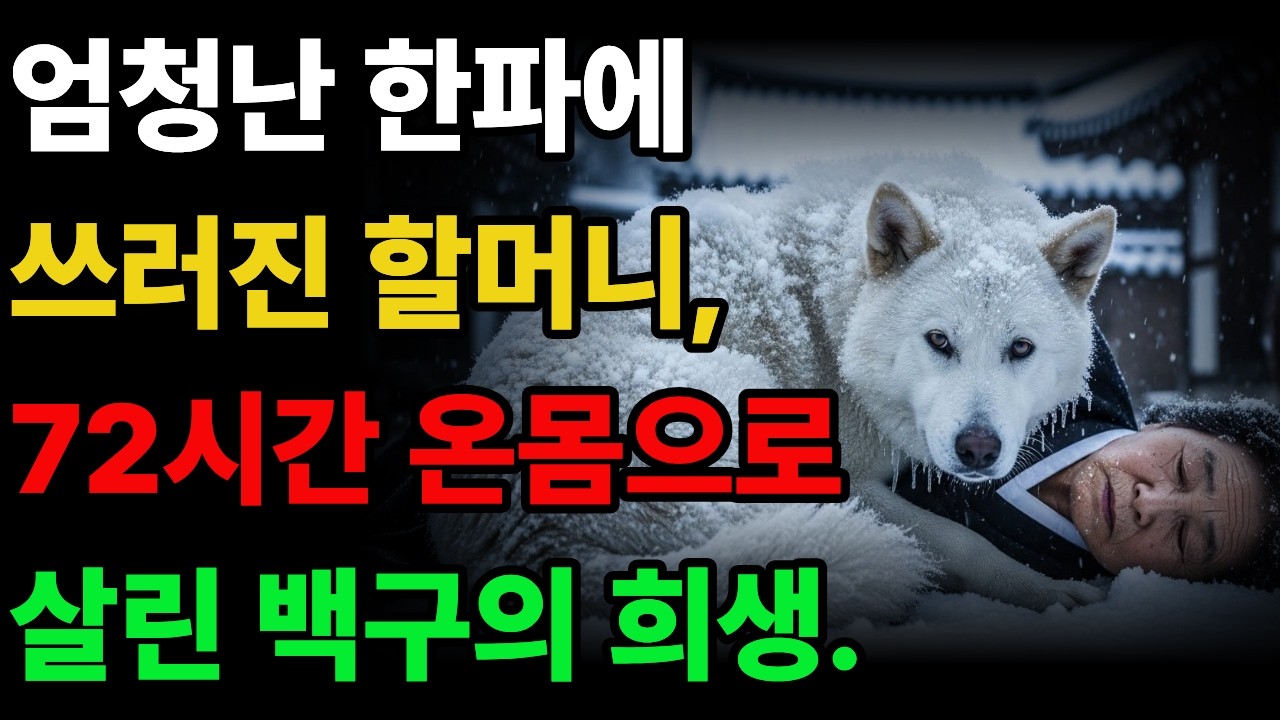 한파속 쓰러진 할머니, 온몸으로 살린 진돗개 백구의 희생  #진돗개사연 #백구 #감동사연 #황혼사연 #노후사연 #강아지 #오디오북