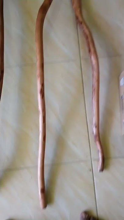 Tongkat kayu stigi