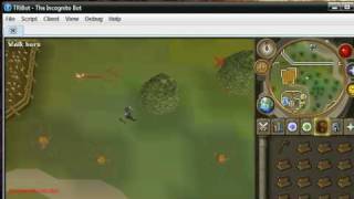 Celebrity Woodcutting with TRiBot Net Worth